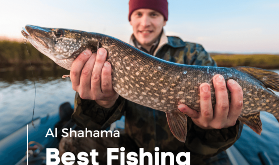 The best fishing methods in UAE. Tips and Tricks by Al Shahama